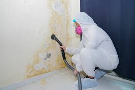  Round Lake Beach, IL Mold Removal & Remediation Pros